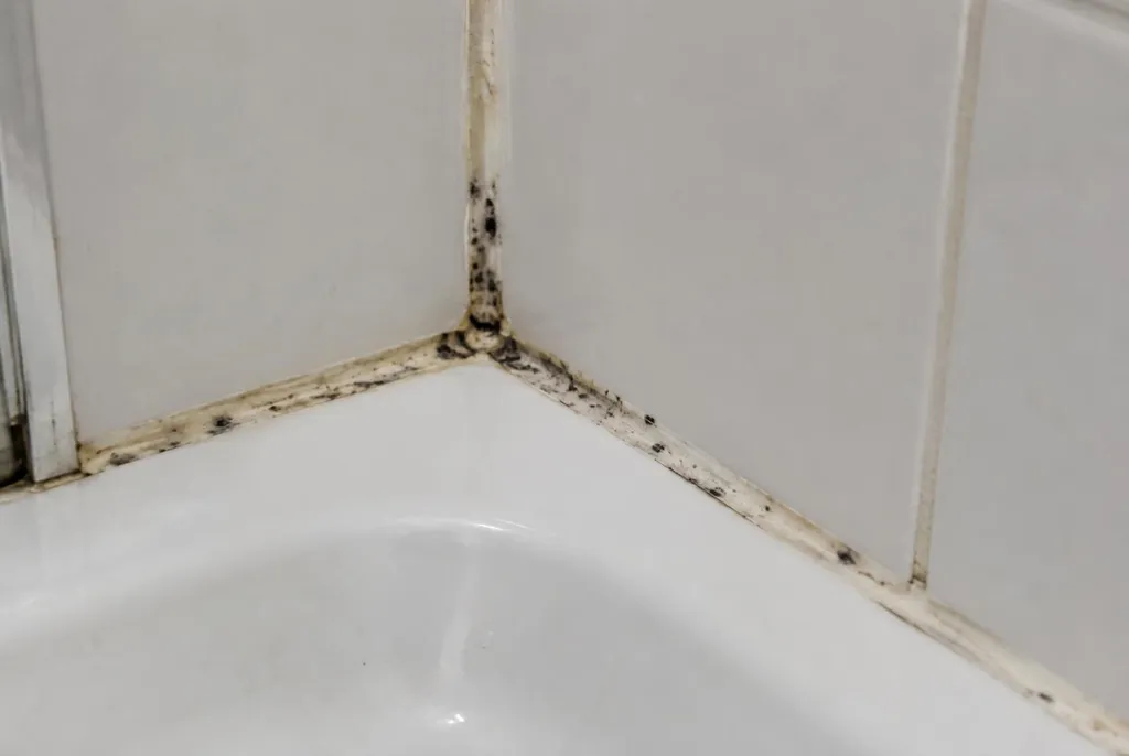 Kitbedrijf Moordrecht – beschimmelde kitranden